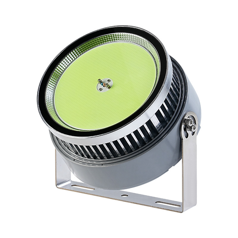 1000 Watt Led Fish Light For O - Outdoor Lighting Wall Mount review and price