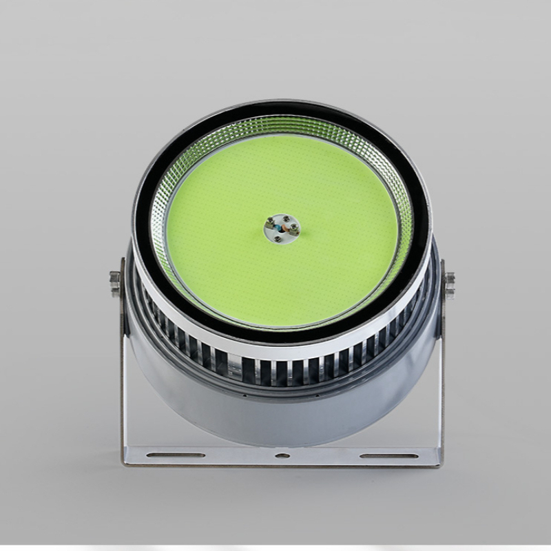 1000 Watt Led Fish Light For O - Outdoor Lighting Wall Mount review and price