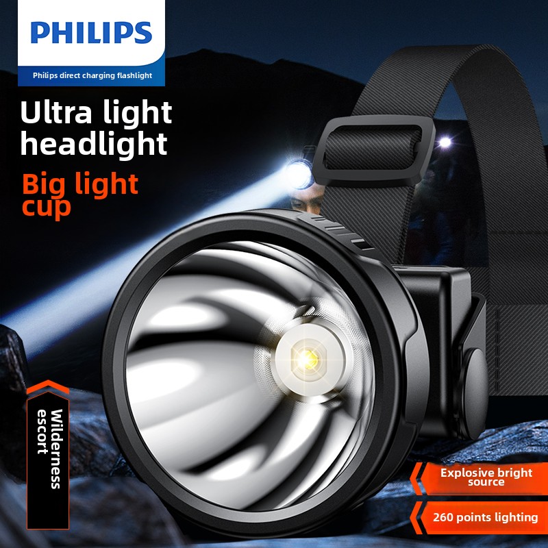 PHILIPS SFL1342 LED Headlamp S - Outdoor Lighting Philips review and price