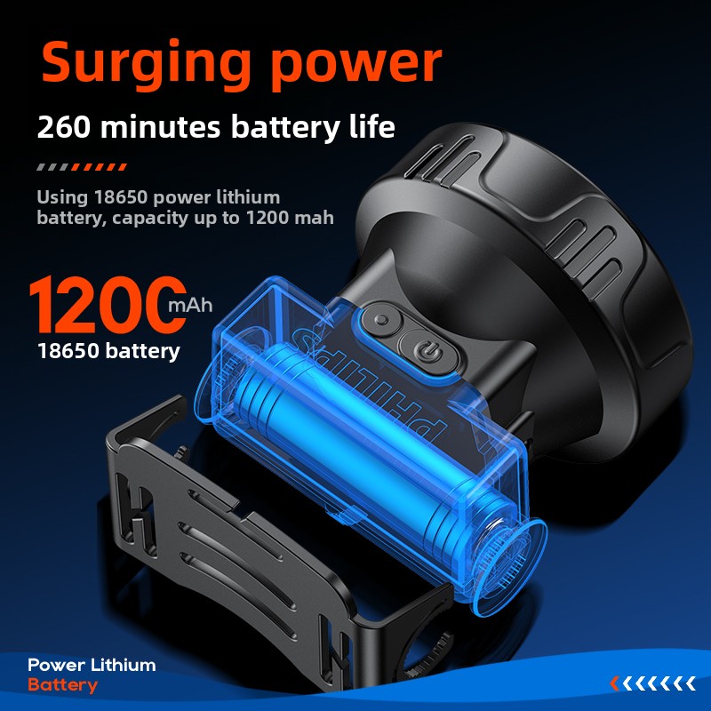 PHILIPS SFL1342 LED Headlamp S - Outdoor Lighting Philips review and price