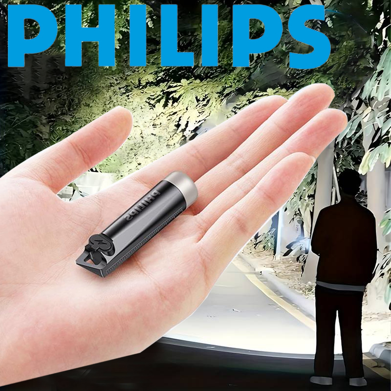 PHILIPS 2025 NEW SFL1121 EDC F - Outdoor Lighting Philips review and price