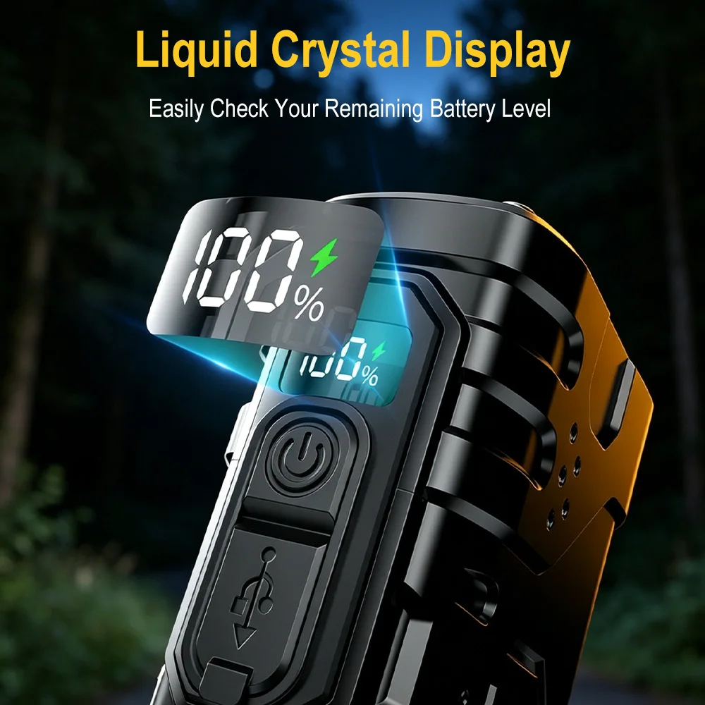 2025 NEW Philips SFL2188 LED A - Outdoor Lighting Guide review and price