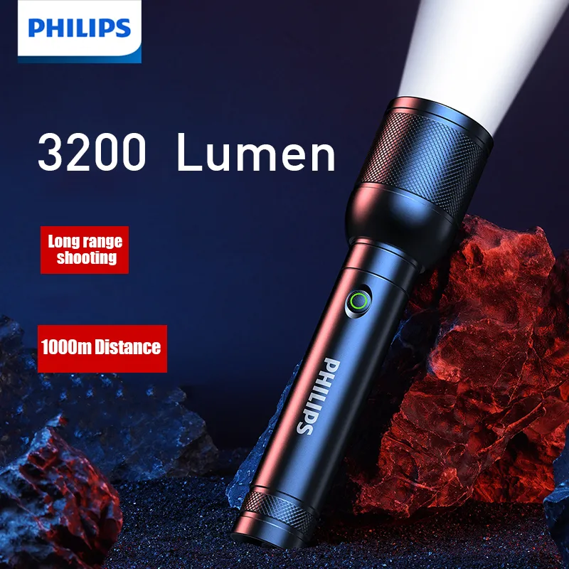 PHILIPS SFL8168 Handheld LED T - Outdoor Lighting Philips review and price