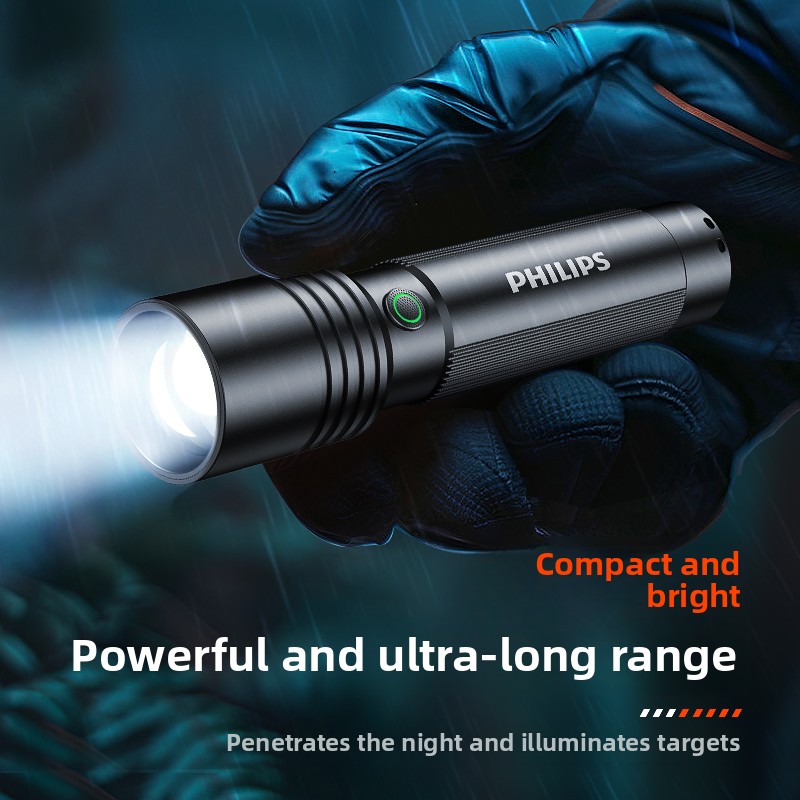 Home & Outdoor Philips SFL2146 - Outdoor Lighting Philips review and price